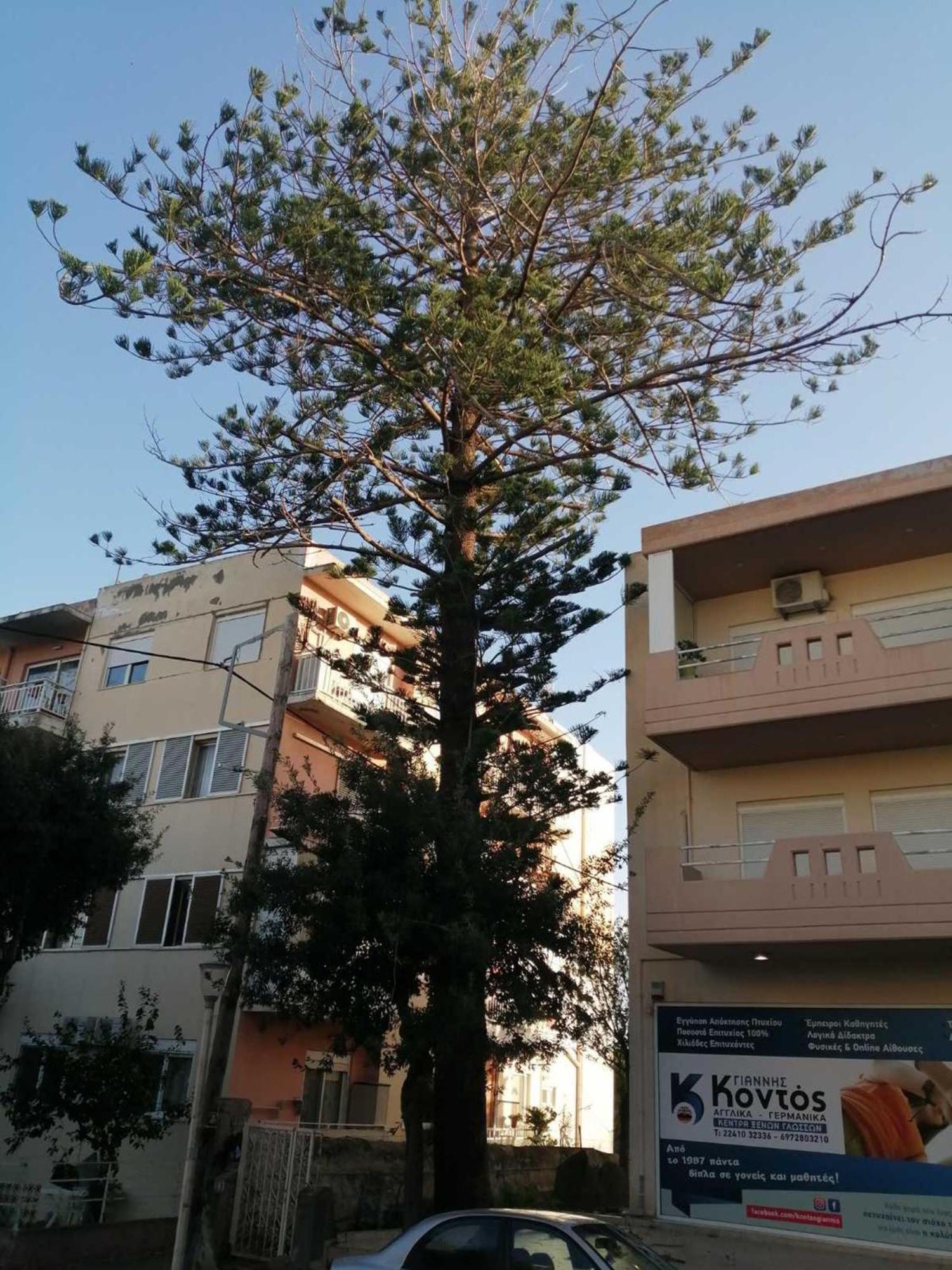 29 Apartment Rhodes City